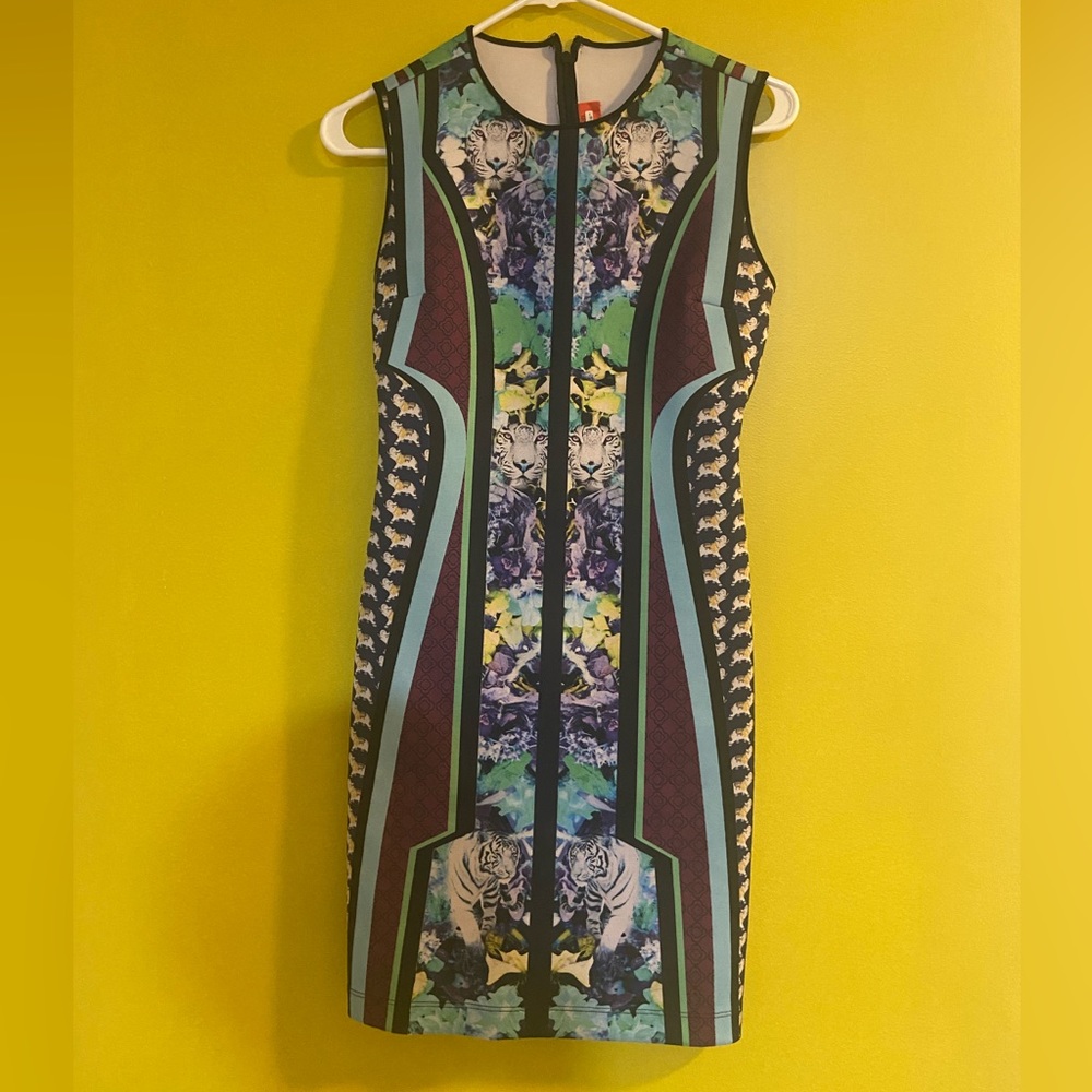 Clover canyon dress